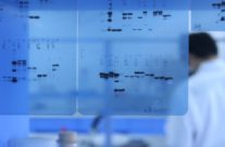 Western Blot Guide