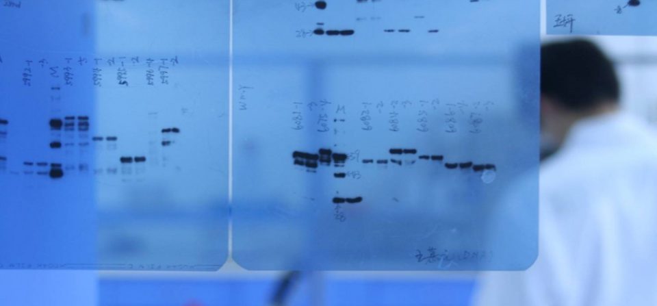 Western Blot Guide